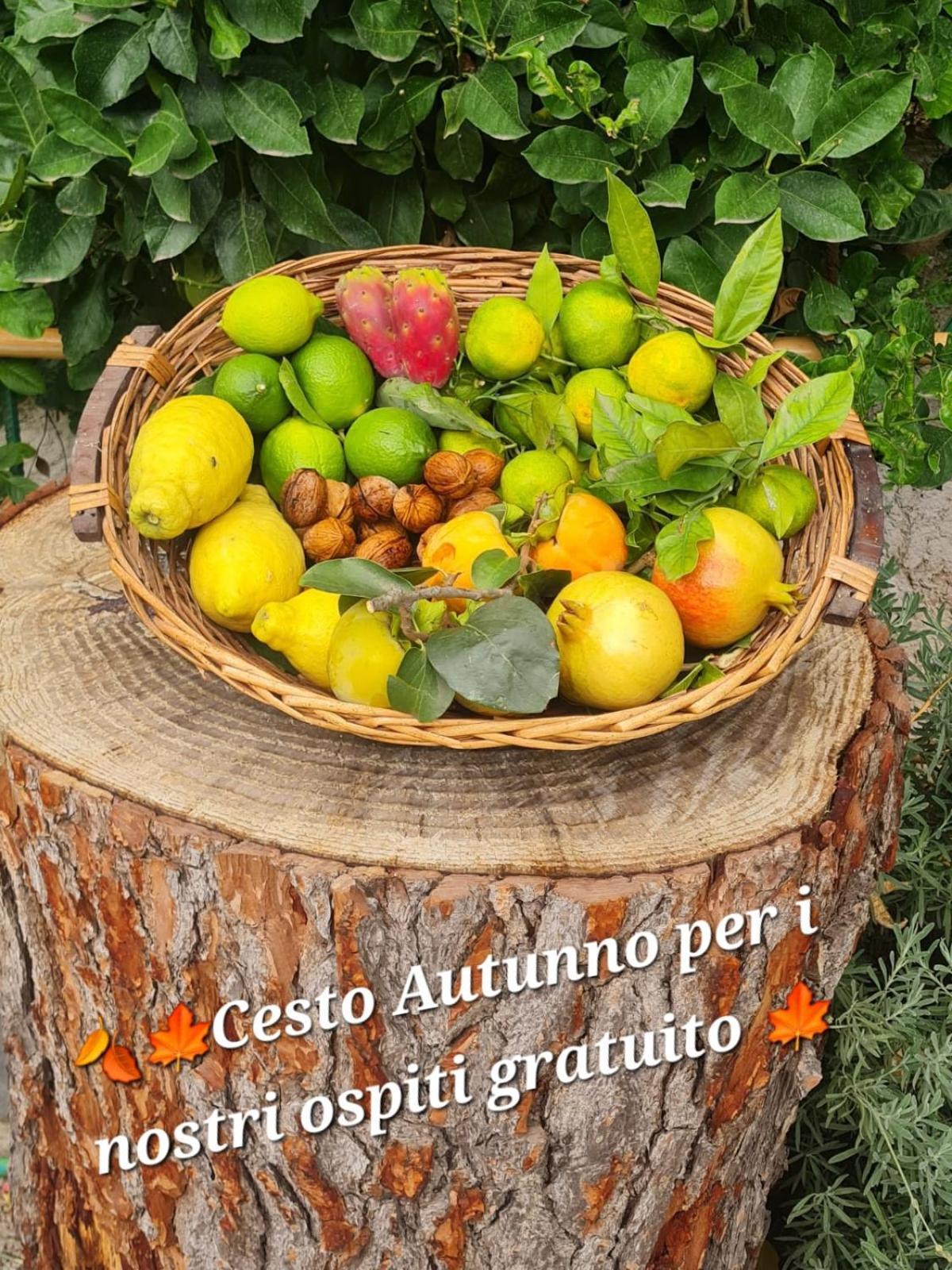B&B Casa Vacanza Cioffi 비코에쿠엔세 외부 사진