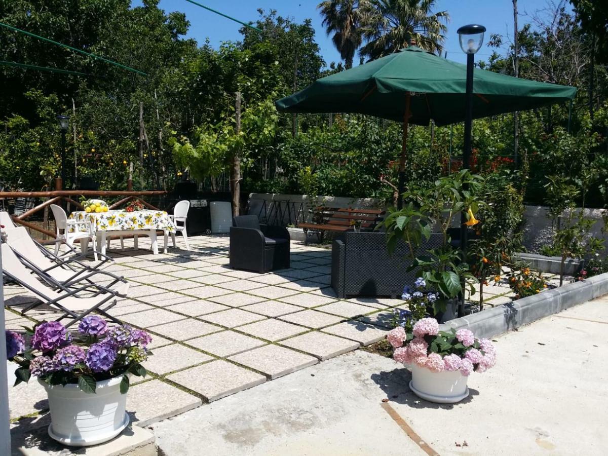 B&B Casa Vacanza Cioffi 비코에쿠엔세 외부 사진