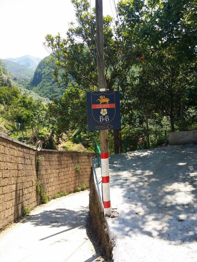 B&B Casa Vacanza Cioffi 비코에쿠엔세 외부 사진