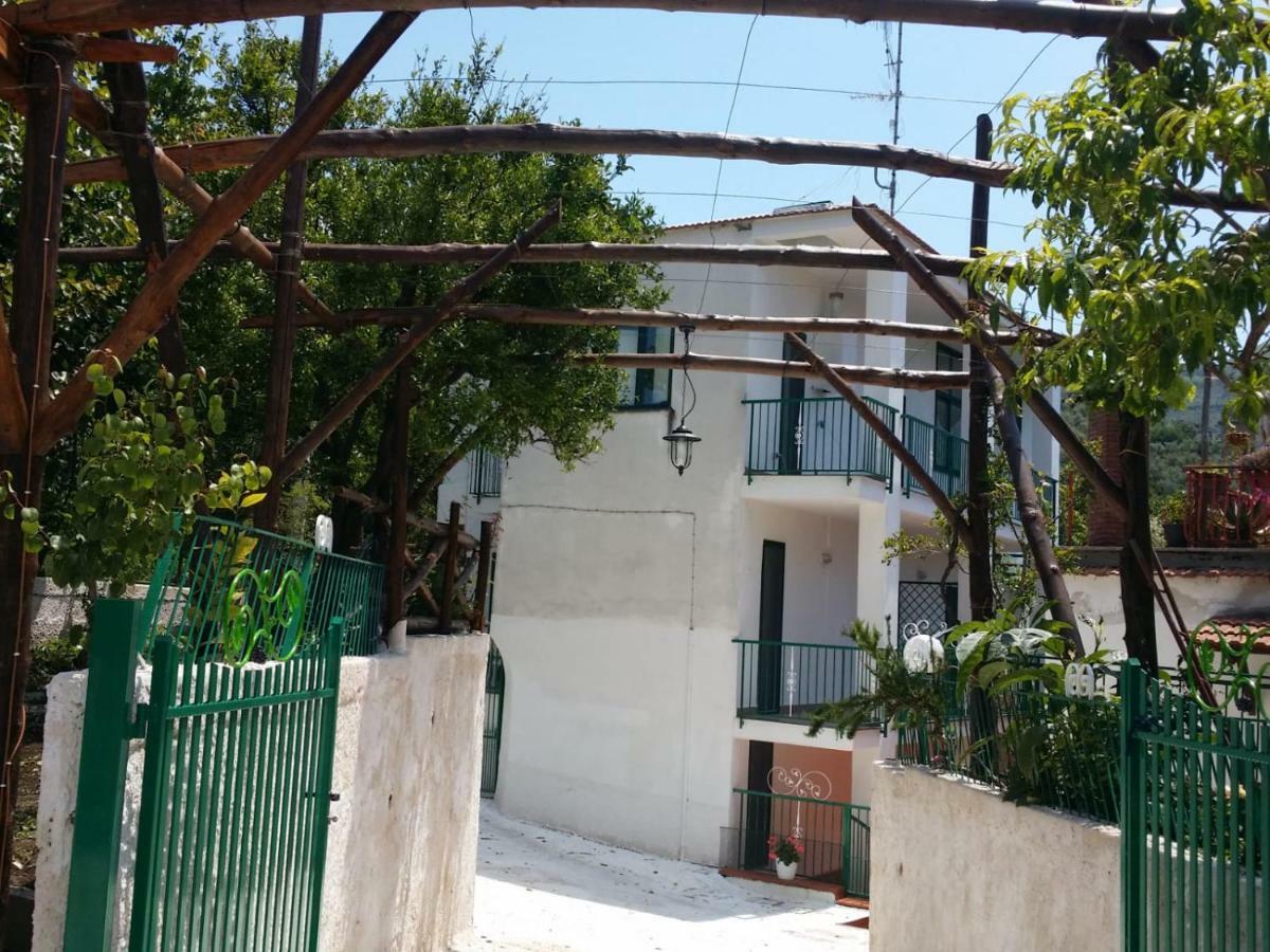 B&B Casa Vacanza Cioffi 비코에쿠엔세 외부 사진