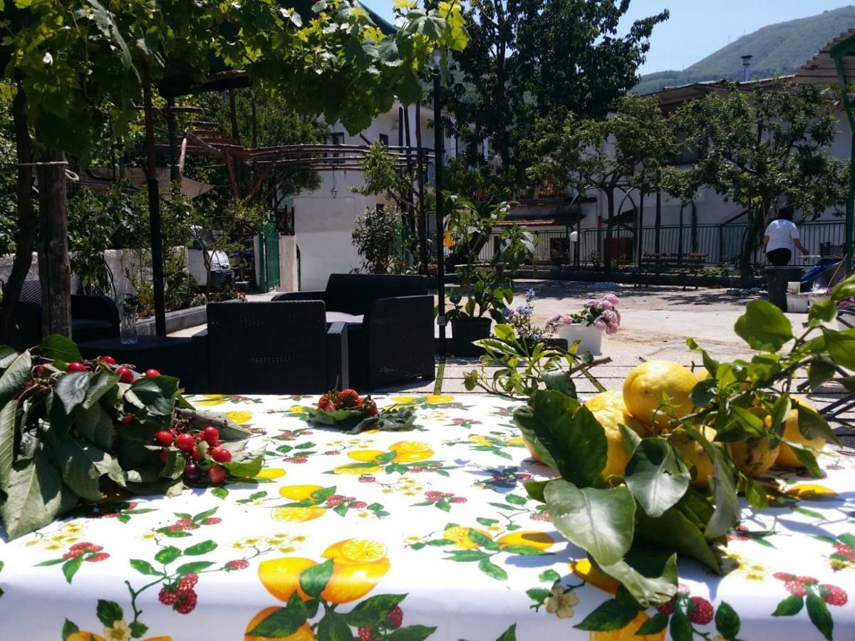 B&B Casa Vacanza Cioffi 비코에쿠엔세 외부 사진