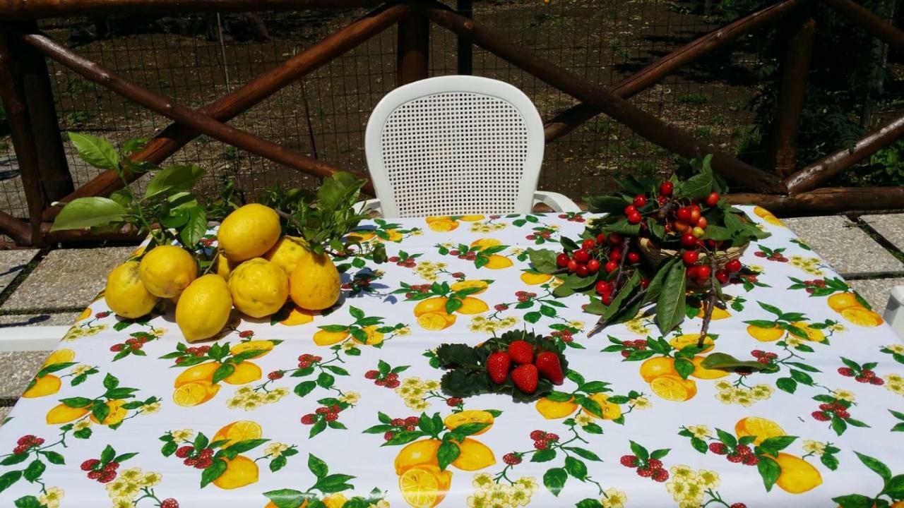 B&B Casa Vacanza Cioffi 비코에쿠엔세 외부 사진