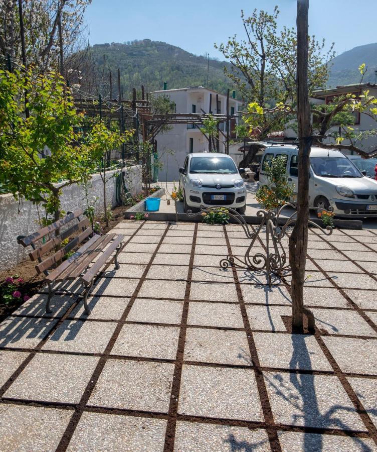 B&B Casa Vacanza Cioffi 비코에쿠엔세 외부 사진